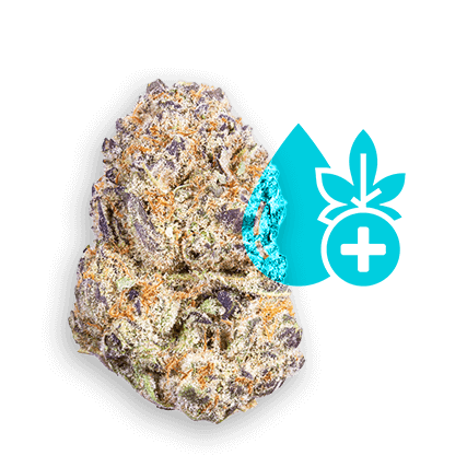 Hybrid cannabis strains balancing Sativa and Indica effects at CREAM Dispensary in Jersey City.