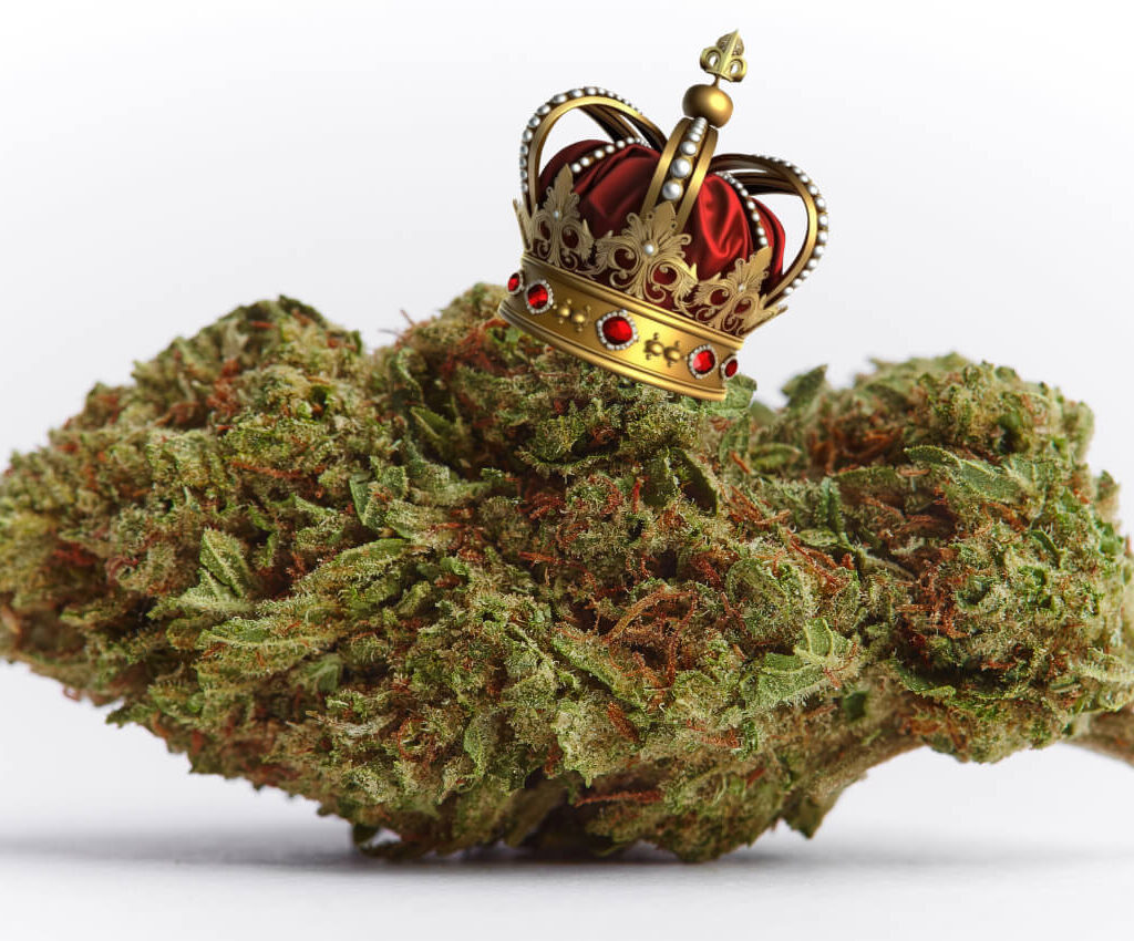 Close-up of a premium cannabis nug adorned with a crown, symbolizing the royal quality of top-tier strains like Jack Herer