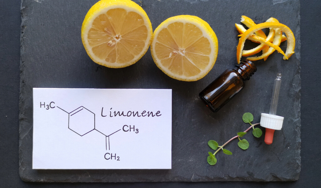 Citrus fruits with the word "Limonene," highlighting this fresh and zesty terpene in marijuana.